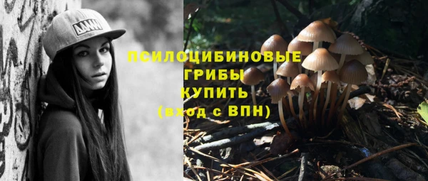 ECSTASY Алексеевка